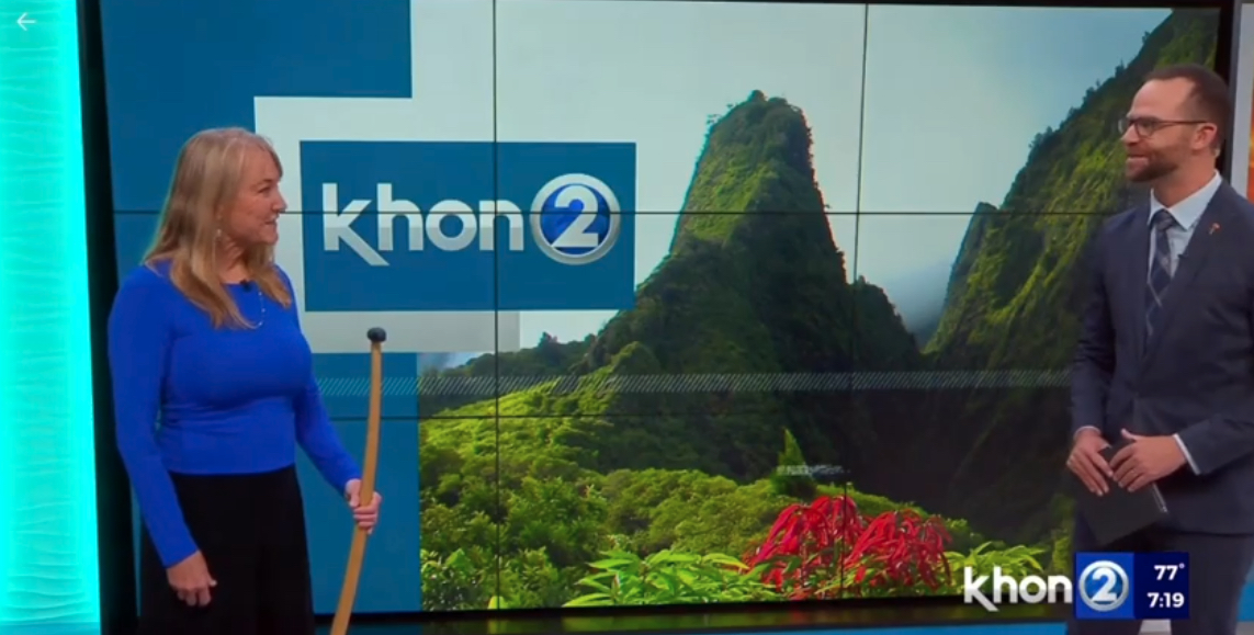 Any Video By Blocs Builder